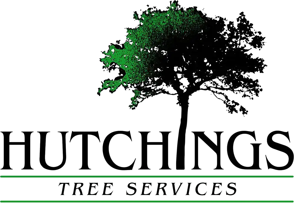 Hutchings Tree Services