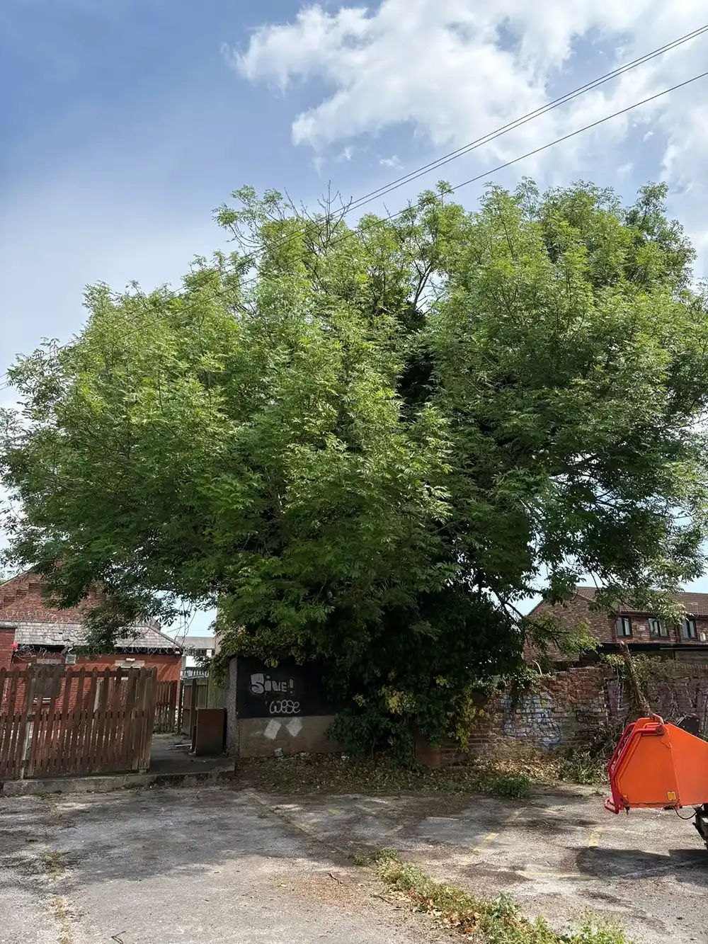 An orange digger sitting in front of a tree.