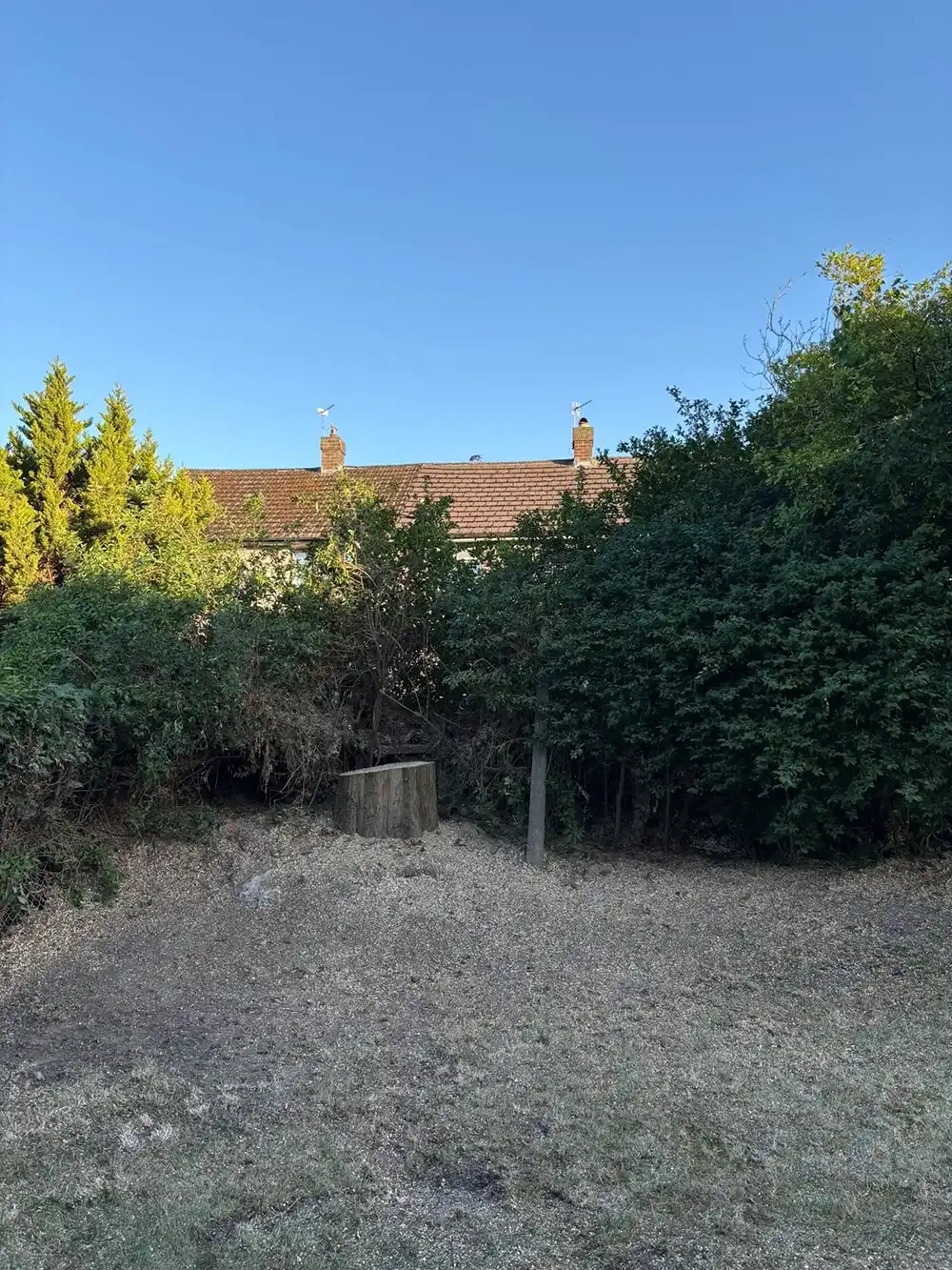 An empty garden in front of a house.