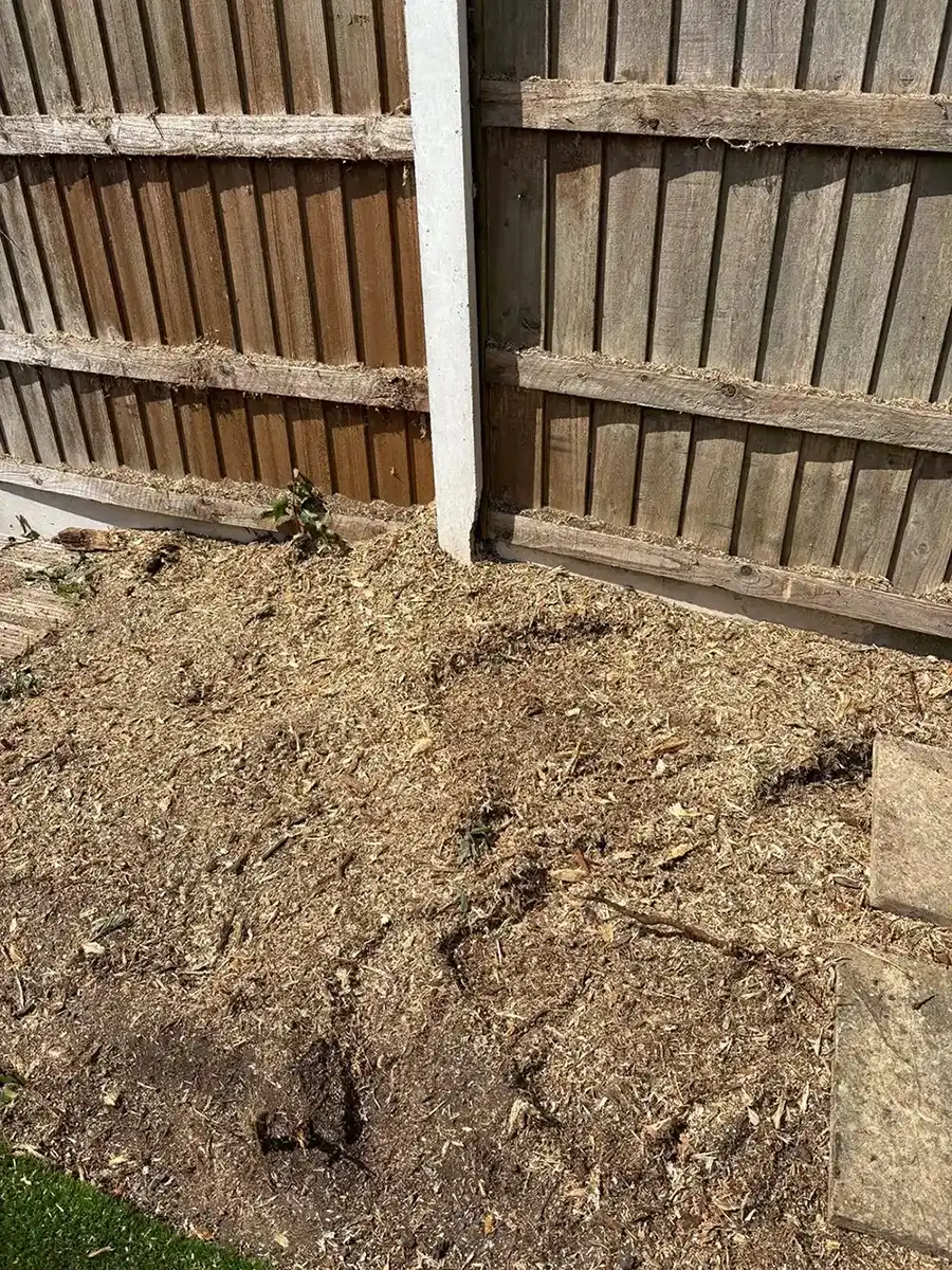 A pile of wood chippings next to a wooden fence.