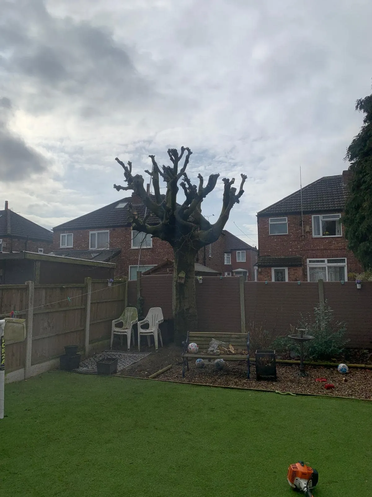 A back garden with a large tree in the middle of it.