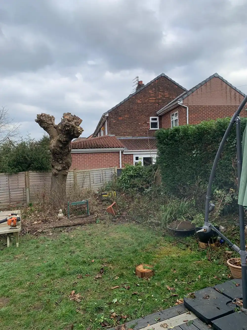 A garden with a tree stump in the middle of it.