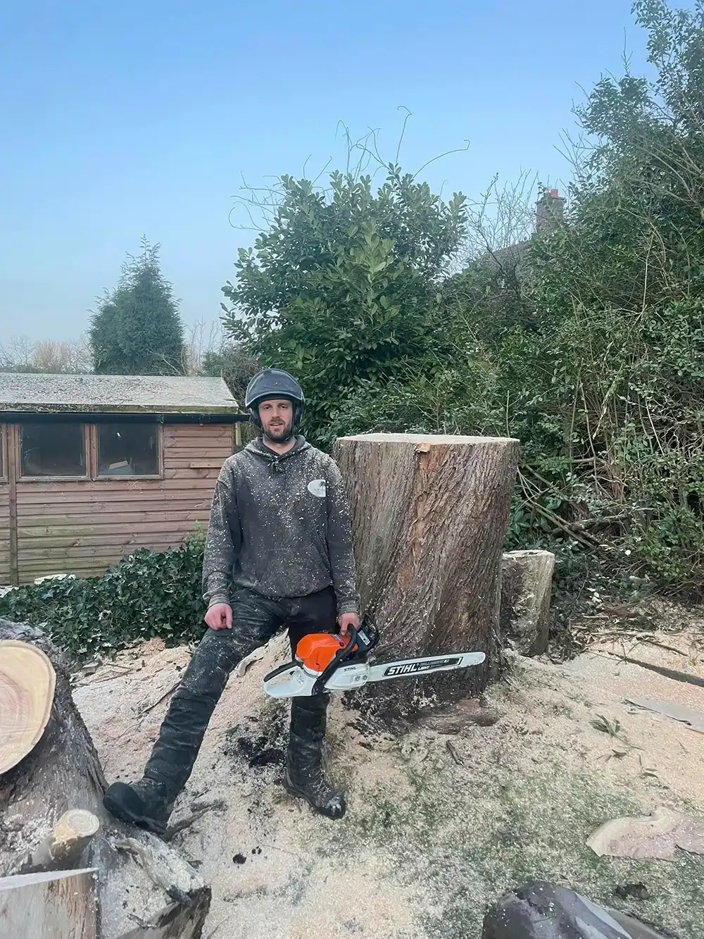 A man sitting on a tree stump holding a chainsaw.