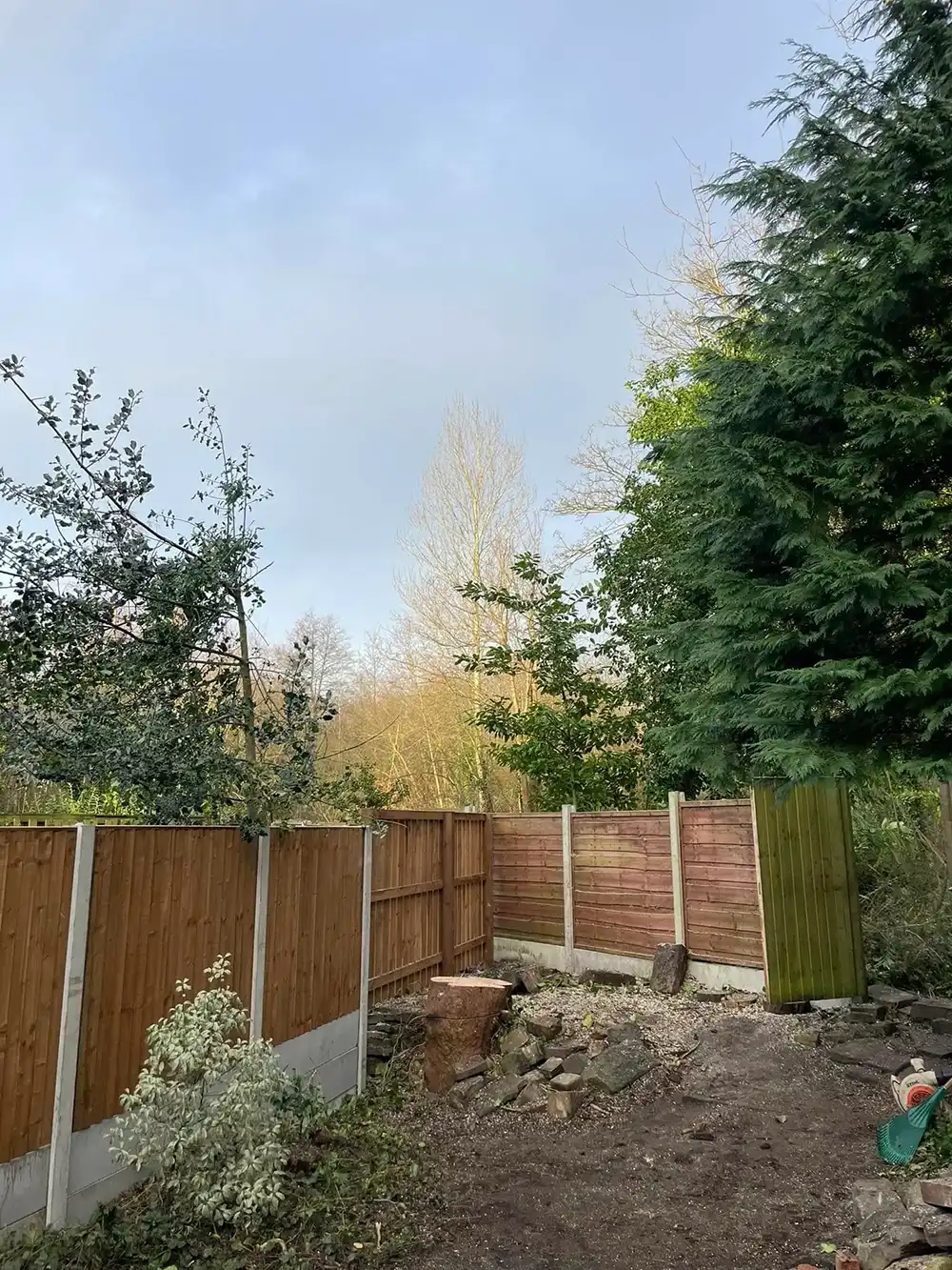 A wooden fence next to a forest filled with trees.